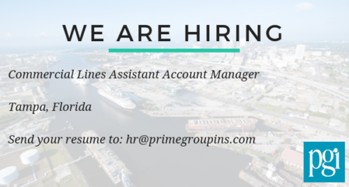 Assistant Account Manager Job Duties